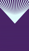 TJDW_24-Social-IG-FondosStories-08.png