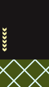 TJDW_24-Social-IG-FondosStories-12.png