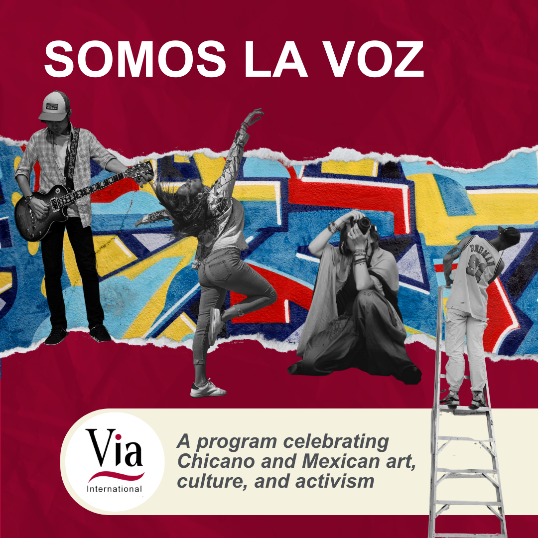 https://wdc2024.org/wp-content/uploads/2024/01/Somos-La-Voz-graphic-eng.png